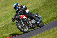 Vintage-motorcycle-club;eventdigitalimages;mallory-park;mallory-park-trackday-photographs;no-limits-trackdays;peter-wileman-photography;trackday-digital-images;trackday-photos;vmcc-festival-1000-bikes-photographs